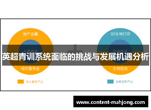 英超青训系统面临的挑战与发展机遇分析
