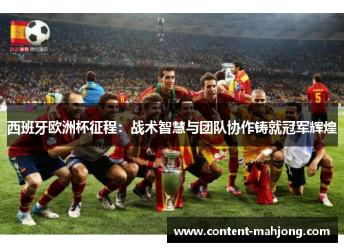 西班牙欧洲杯征程：战术智慧与团队协作铸就冠军辉煌